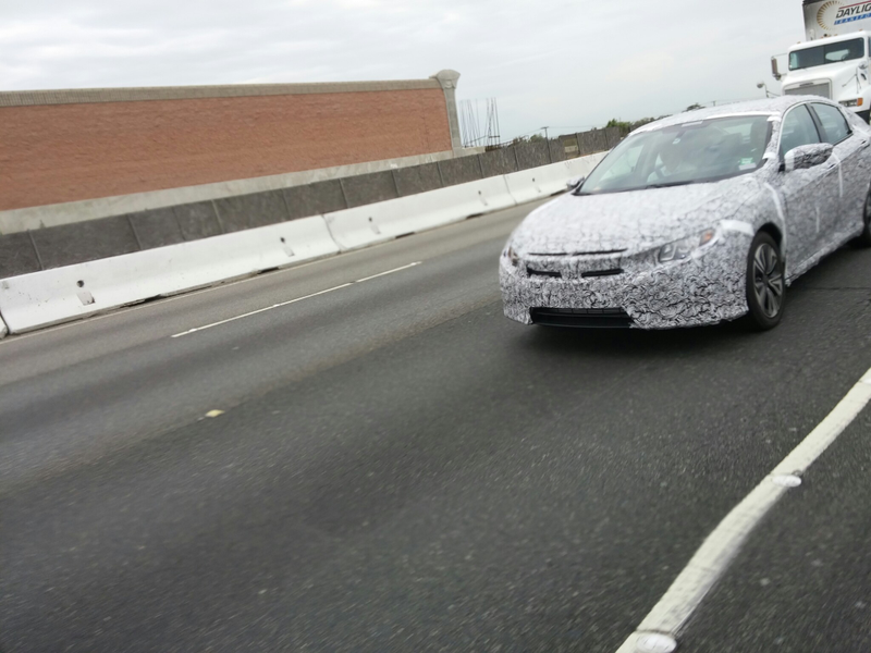 Illustration for article titled Zebra Spotted on the Road In SoCal!